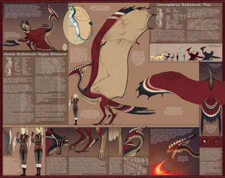 Референсы драконов с информацией