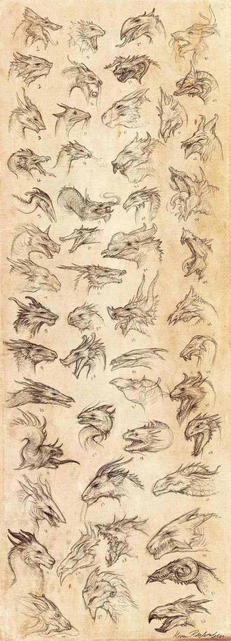 Анатомия дракона референс