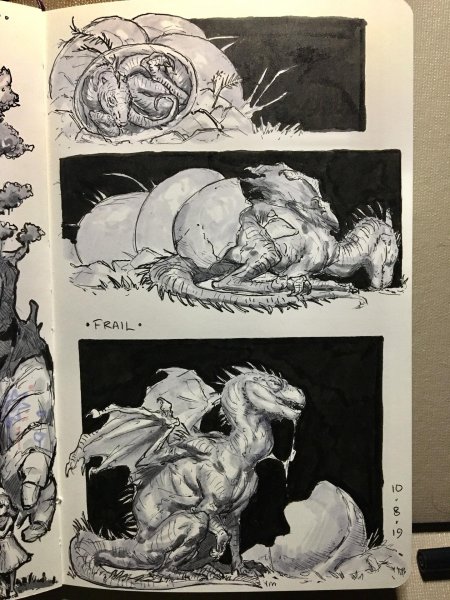 Скетчи драконов