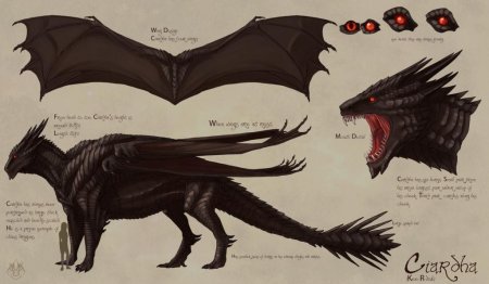 Антро дракон референс