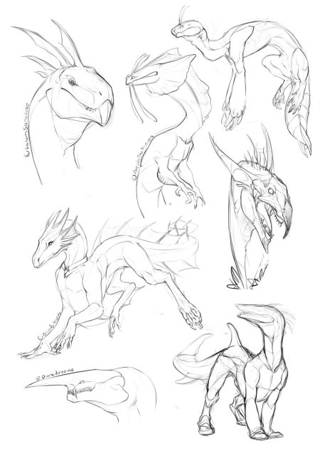 Позы драконов для рисования