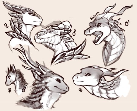 Референсы драконов