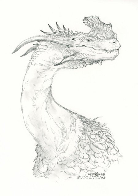Эскиз дракон