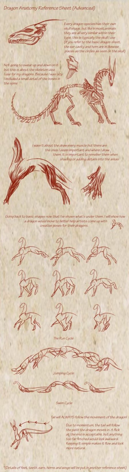 Животные референсы