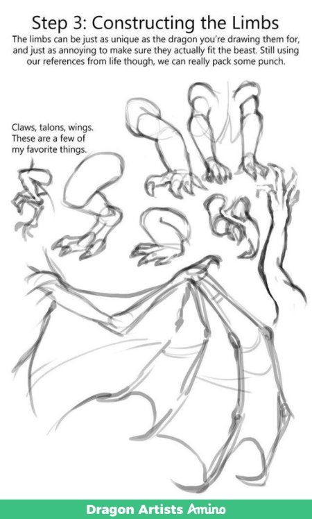 Анатомия драконов для рисования