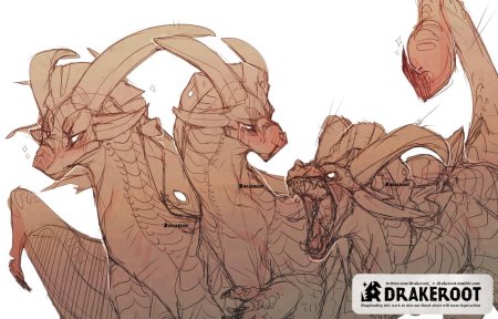 Дракон реферанс касаи