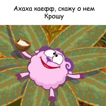 Бараш из смешарики