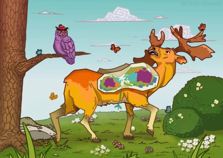 Животные иллюстрации