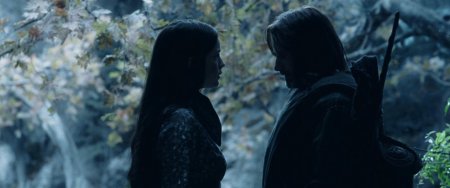 Властелин колец арагорн и арвен