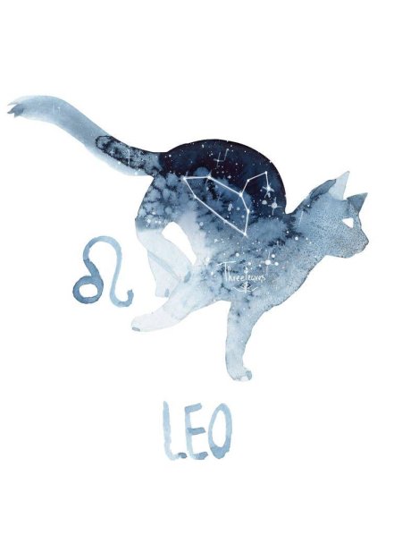 Животные знаки зодиака