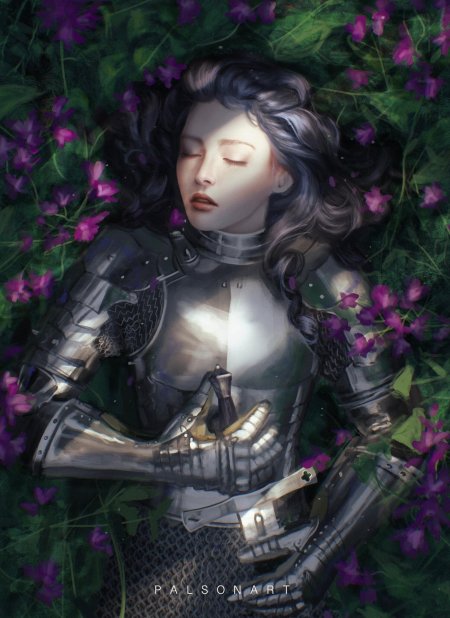 Девушка рыцарей