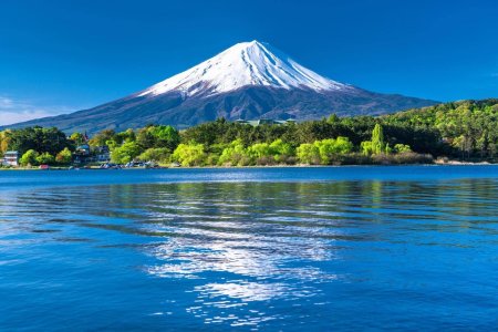 Fuji japan