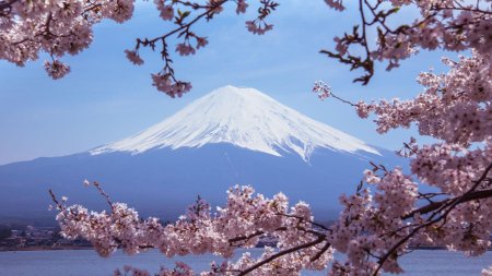 Япония сакура и фудзияма