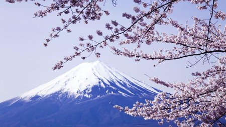 Киото фудзияма