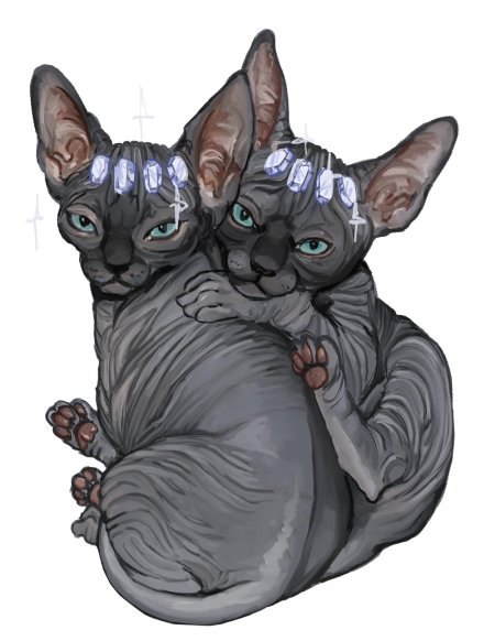 Сфинкс порода кошек