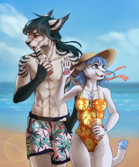 Фурри на пляже