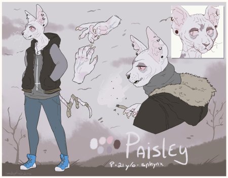 Фурри сфинкс