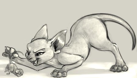 Фурри сфинкс