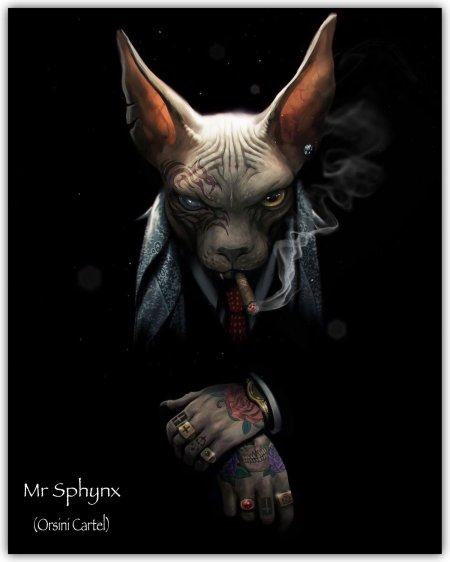 Кот сфинкс арт