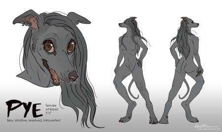 Антро референс