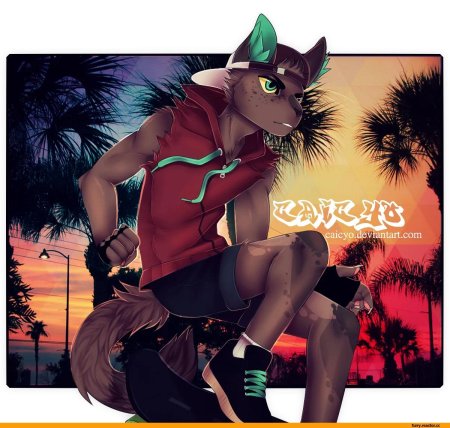 Фурри caicyo лис