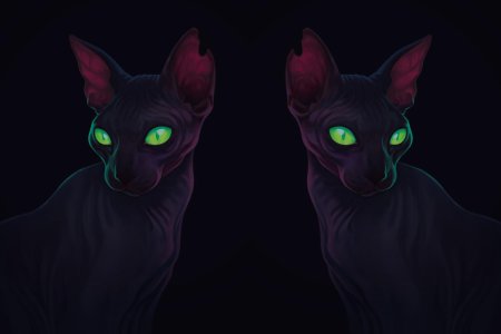 Коты воители сфинкс