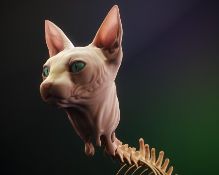 Египетский сфинкс кошка