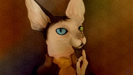 Лысая кошка сфинкс