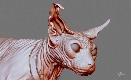 Кот сфинкс д модель