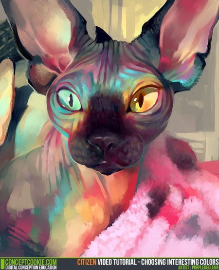 Кошка сфинкс