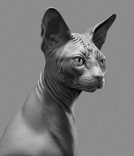 Сфинкс морда