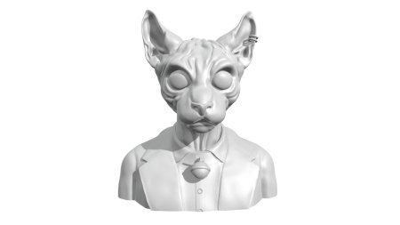 Sphynx cat cat 3 d модель