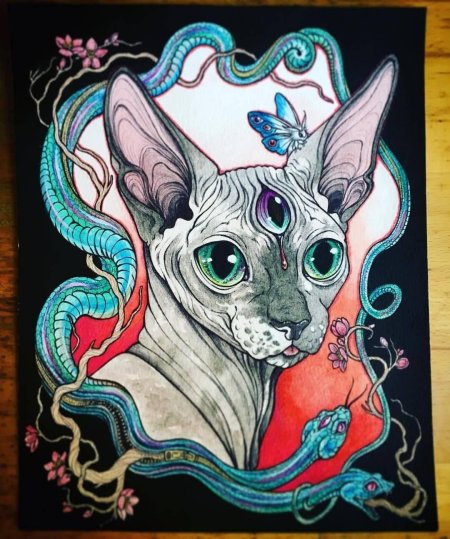 Египетский сфинкс кошка