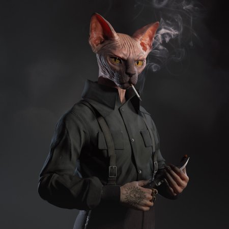 Кошка сфинкс