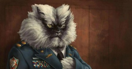 Кот генерал