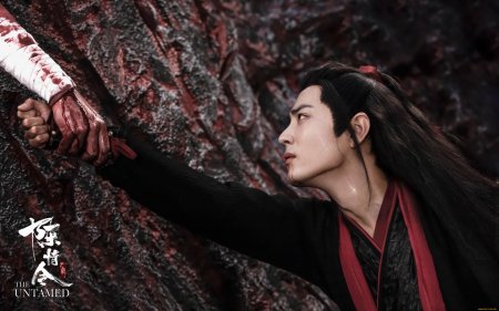 Неукротимый повелитель чэнь цин