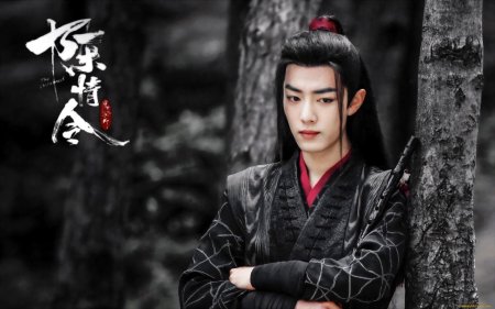 Неукротимый повелитель чэнь цин вэй усянь