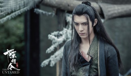 Неукротимый повелитель чэнь цин