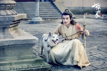 Неукротимый повелитель чэнь цин