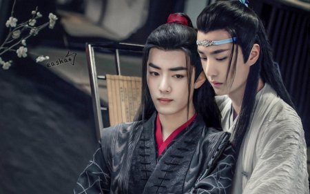 Ван ибо и сяо чжань неукротимый повелитель чэнь цин