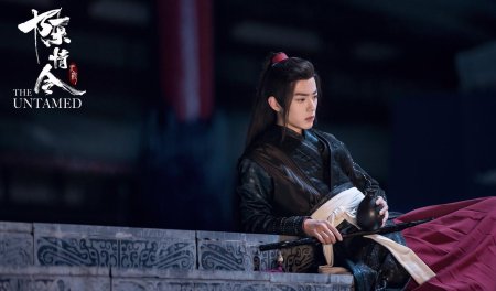 Неукротимый повелитель чэнь цин вэй усянь