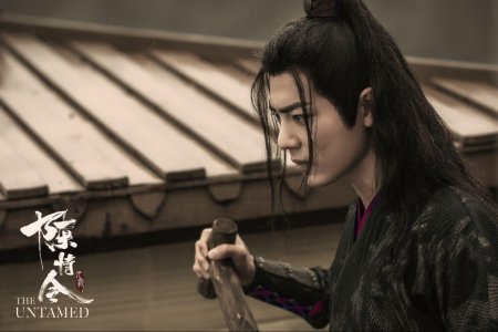 The untamed неукротимый: повелитель чэньцин