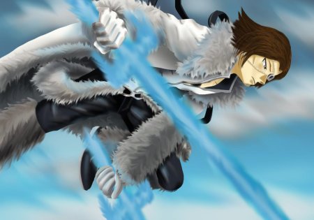 Койот старк блич брейв соул