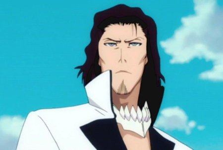 Койот старк блич