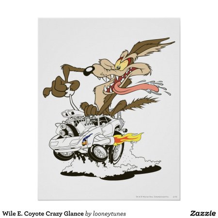 Койот вилли