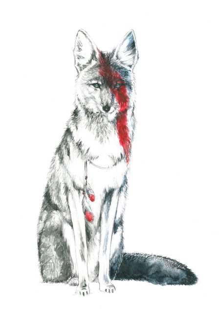 Койот эскиз