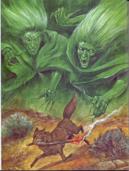 Койот мифология