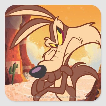 Луни тюнз шоу койот