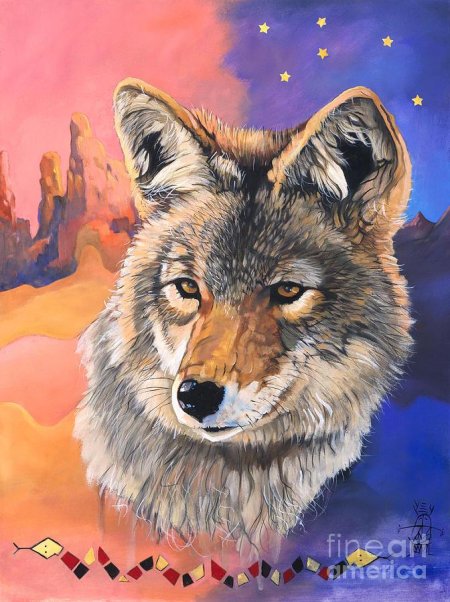 Койот трикстер