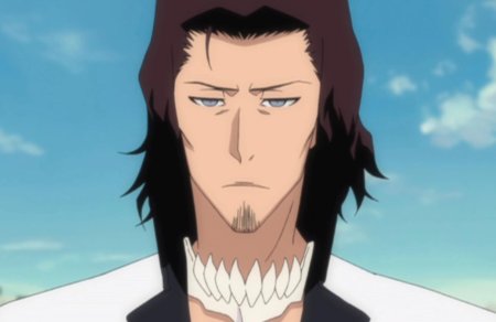 Койот старк